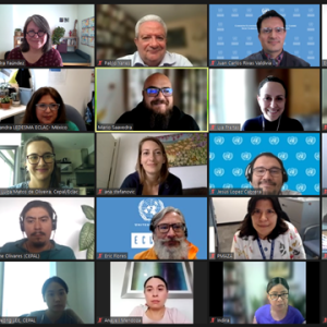 Curso CEPAL MX 2.jpeg